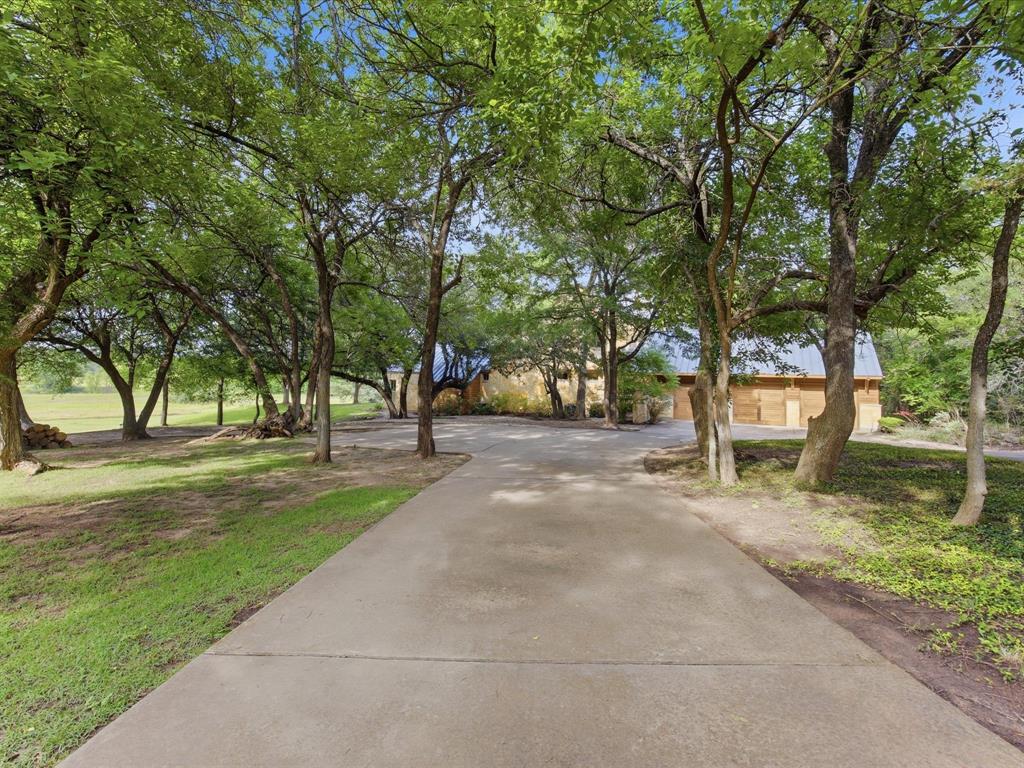 151 Trinity Bluffs Road Aledo, TX 76008 - Photo 35 of 40 a view of a yard with a tree