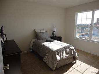 4950 Ambs Road St. Louis, MO 63128 - Photo 14 of 25 Gallery Image 14