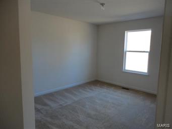 4950 Ambs Road St. Louis, MO 63128 - Photo 17 of 25 Gallery Image 17