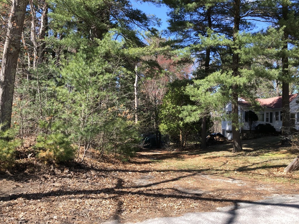 1177 R Ward Well Road Canton, MA 02021 - Photo 3 of 9 Gallery Image 3