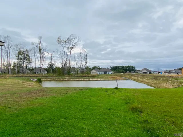 $1,950 | 23161 Wilton Drive, Denham Springs, LA 70726