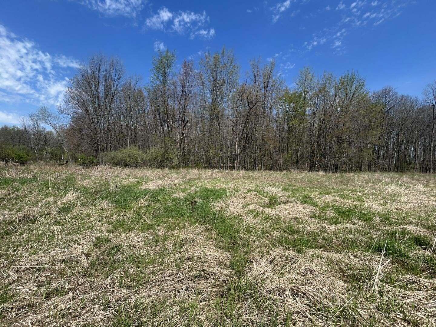 Lake Road Jonesville, MI 49250 - Photo 10 of 11 hfm10