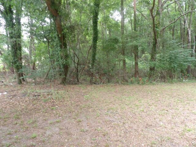 1277 Russellville Road St. Stephen, SC 29479 - Photo 13 of 13 076 (640x480)
