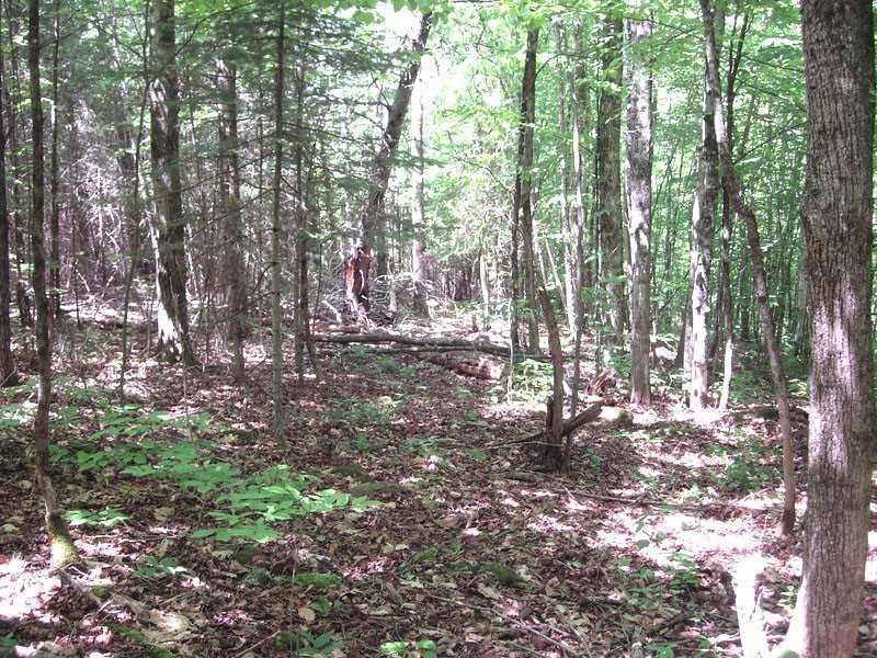 351 Damascus Road Carmel, ME 04419 - Photo 26 of 35 Land.
