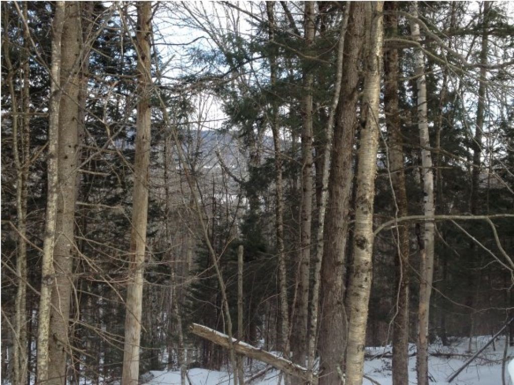 Lot 37 Highland View Road Weston, VT 05161 - Photo 1 of 2