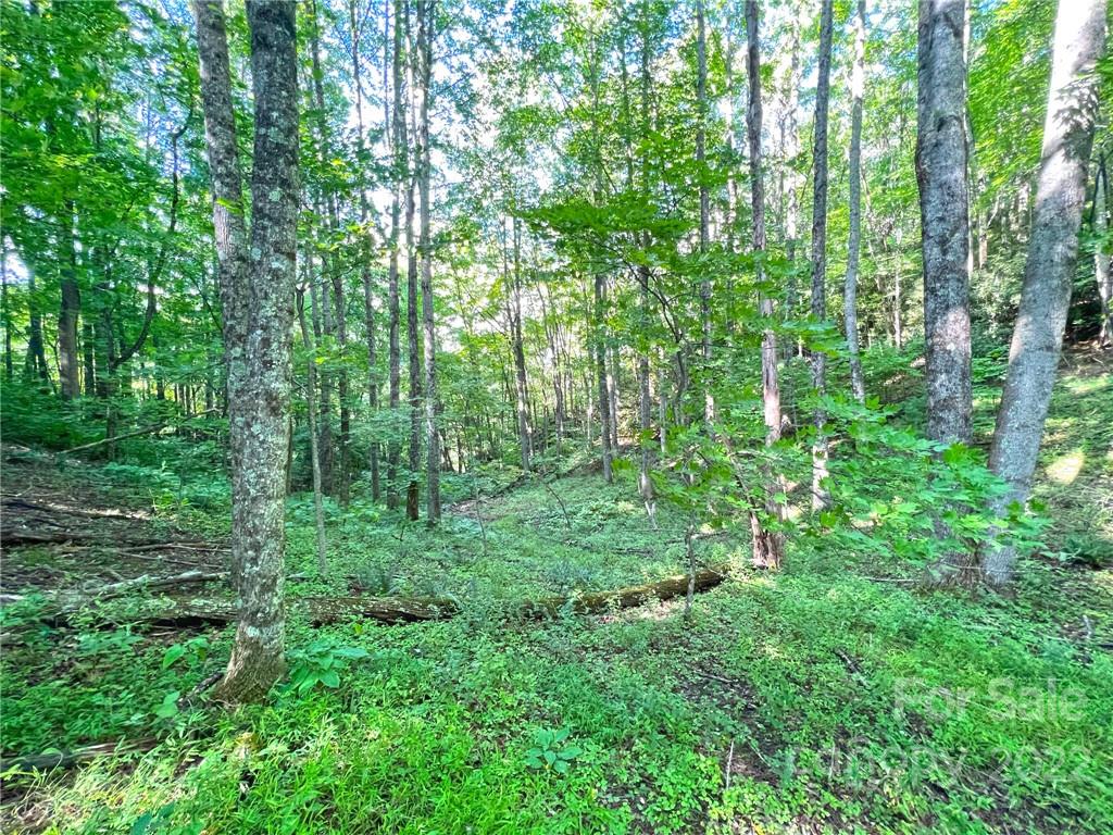 999 Baltimore Branch Road Hot Springs, NC 28743 - Photo 1 of 28 Gallery Image 1