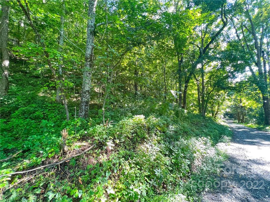 999 Baltimore Branch Road Hot Springs, NC 28743 - Photo 12 of 28 Gallery Image 12