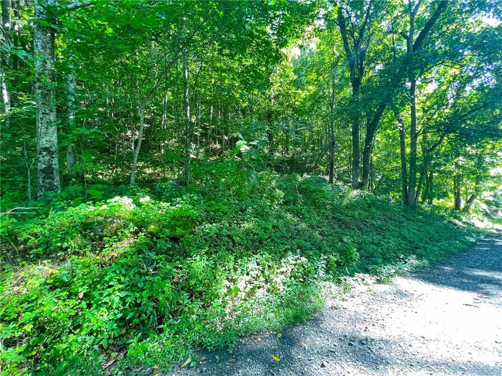 999 Baltimore Branch Road Hot Springs, NC 28743 - Photo 15 of 28 Gallery Image 15