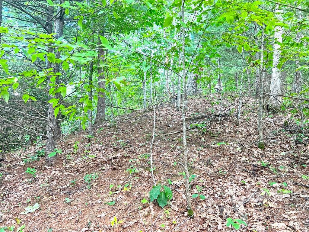 999 Baltimore Branch Road Hot Springs, NC 28743 - Photo 16 of 28 Gallery Image 16
