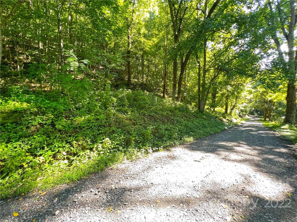 999 Baltimore Branch Road Hot Springs, NC 28743 - Photo 22 of 28 Gallery Image 22