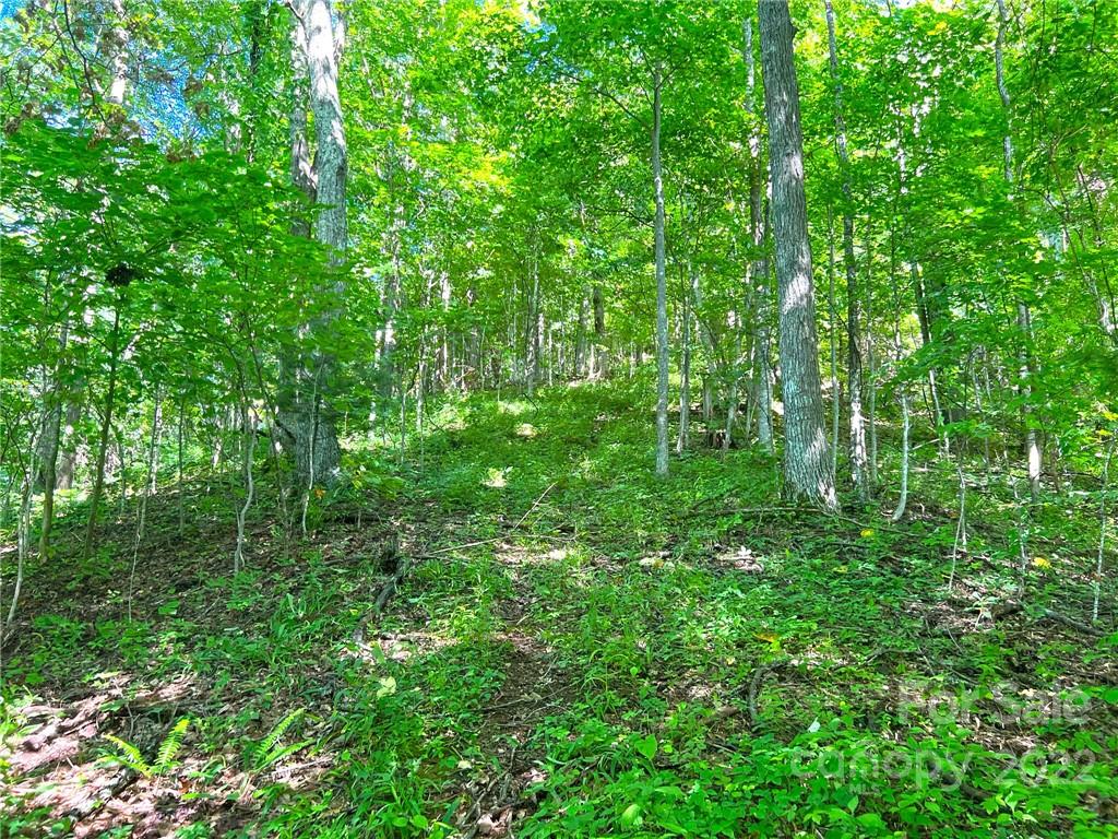 999 Baltimore Branch Road Hot Springs, NC 28743 - Photo 25 of 28 Gallery Image 25