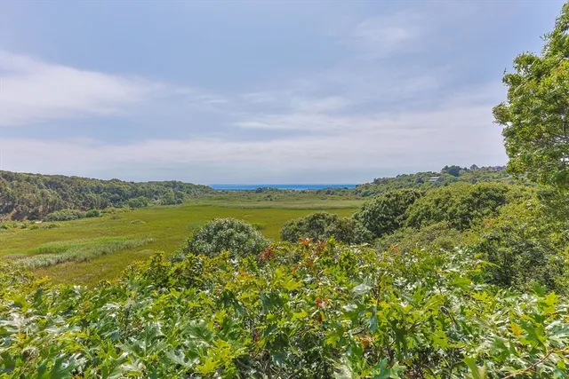 a view of a city with an ocean