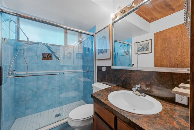 a bathroom with a sink toilet a mirror and shower