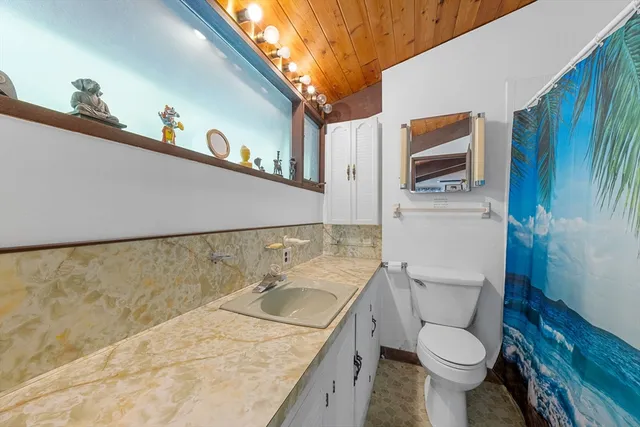 a bathroom with a sink a toilet and a mirror