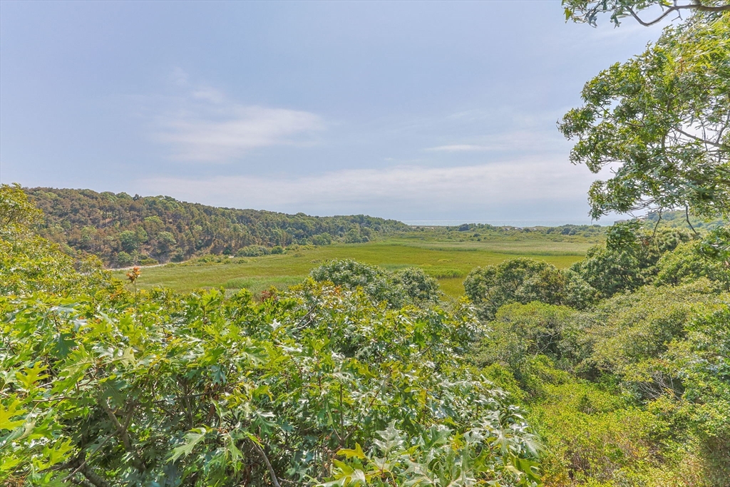 25 Resolution Road Truro, MA 02666 - Photo 33 of 42 a view of an ocean and a mountain