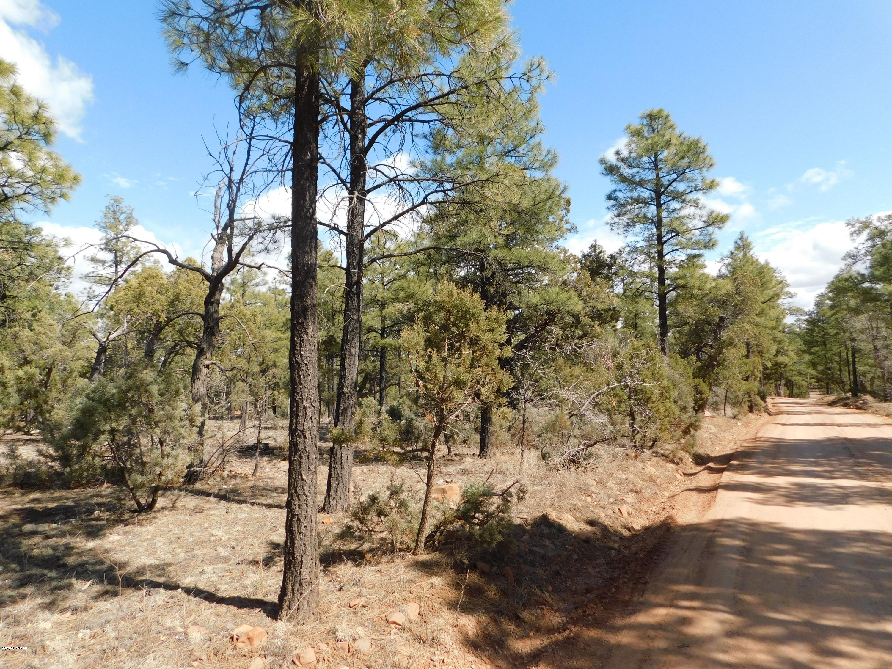 2066 Lone Mountain Road Overgaard, AZ 85933 - Photo 4 of 4