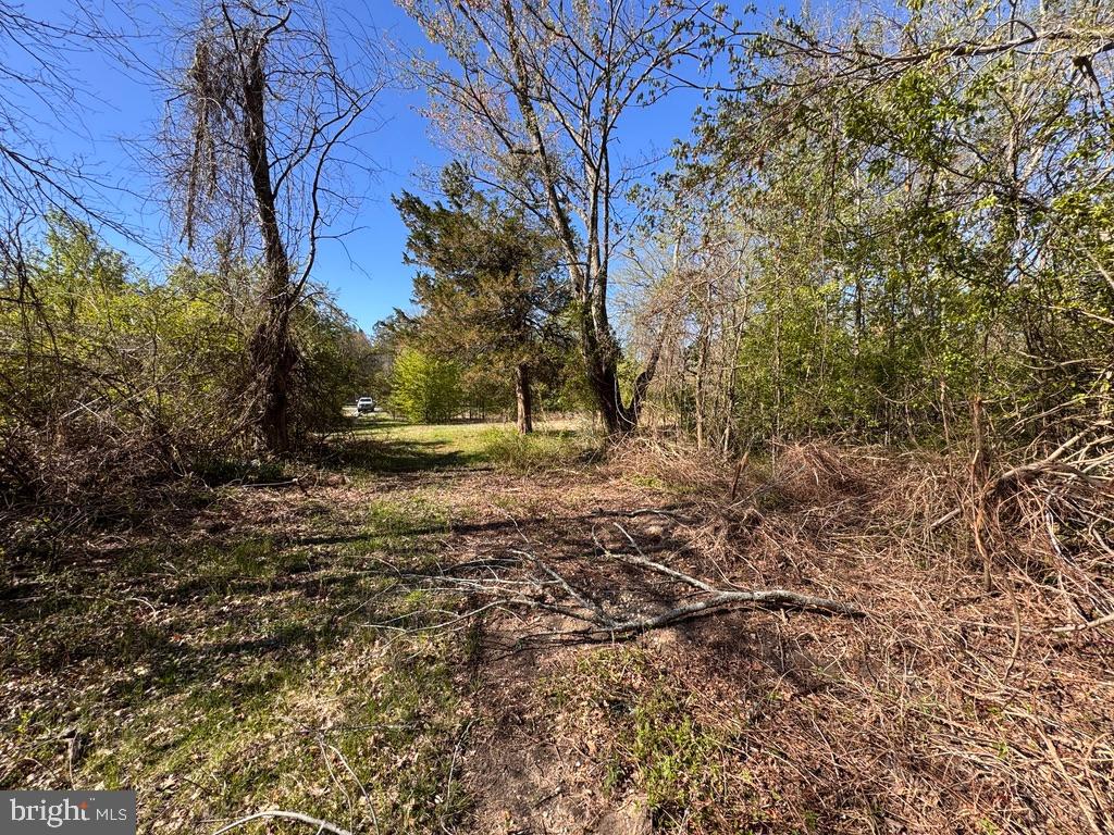 27202 Sandtown Road Goldsboro, MD 21636 - Photo 11 of 18