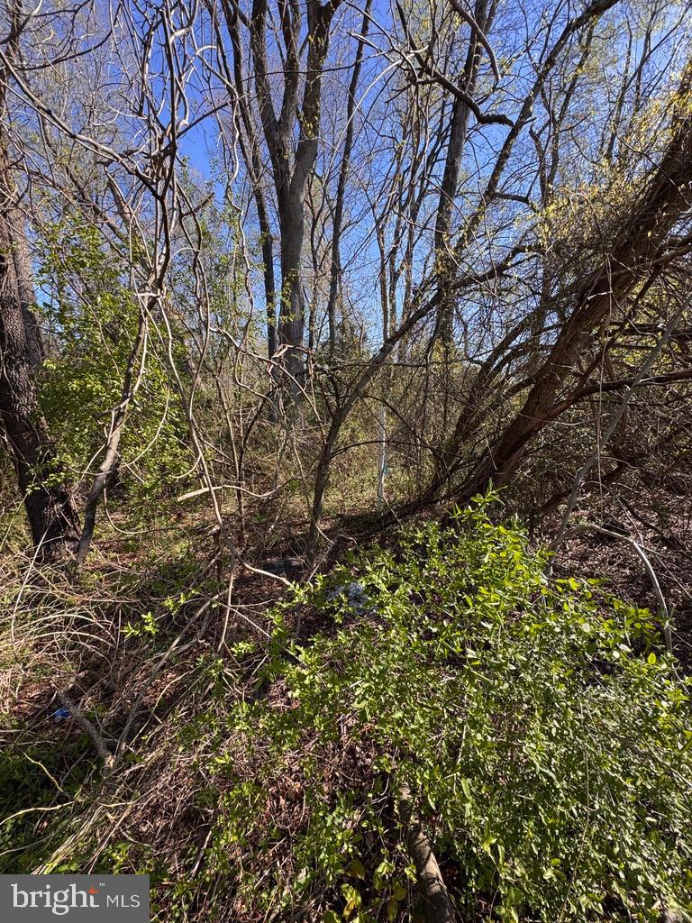 27202 Sandtown Road Goldsboro, MD 21636 - Photo 12 of 18