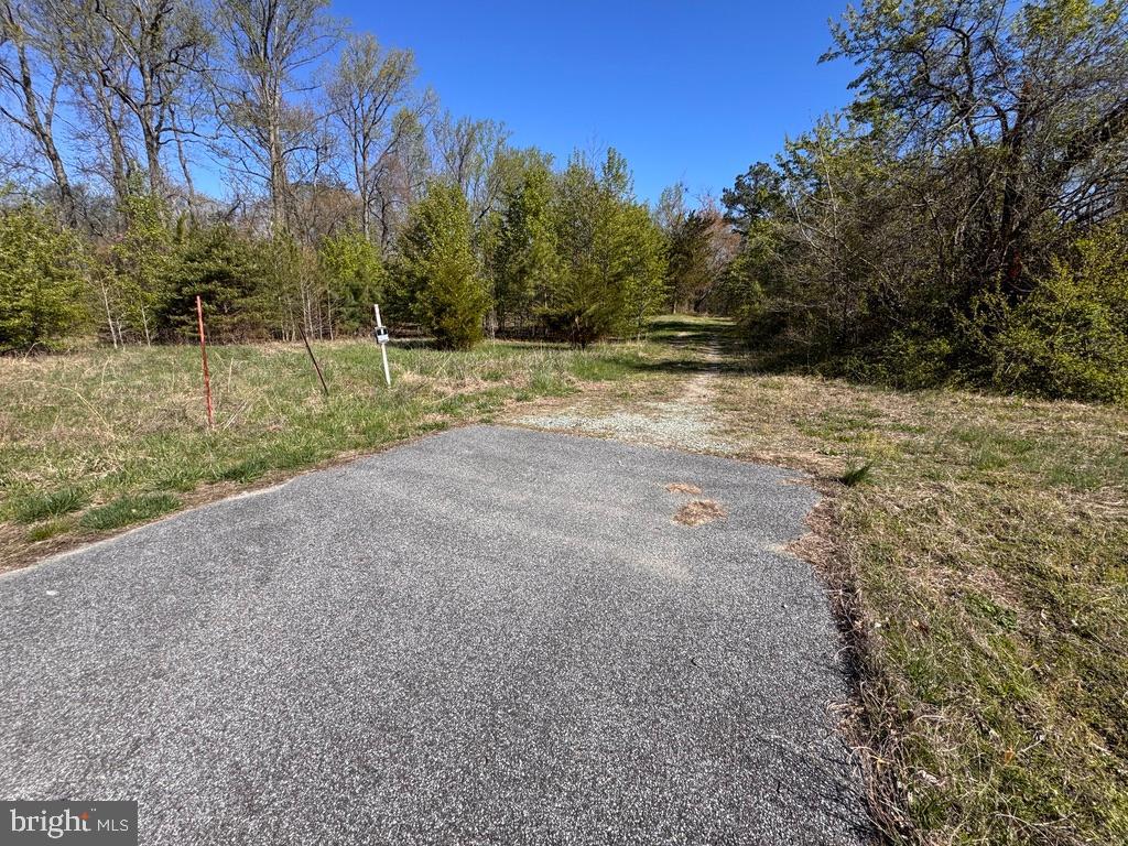 27202 Sandtown Road Goldsboro, MD 21636 - Photo 13 of 18