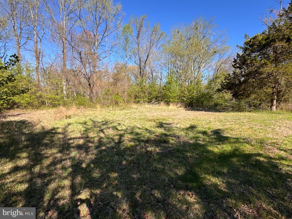 27202 Sandtown Road Goldsboro, MD 21636 - Photo 2 of 18