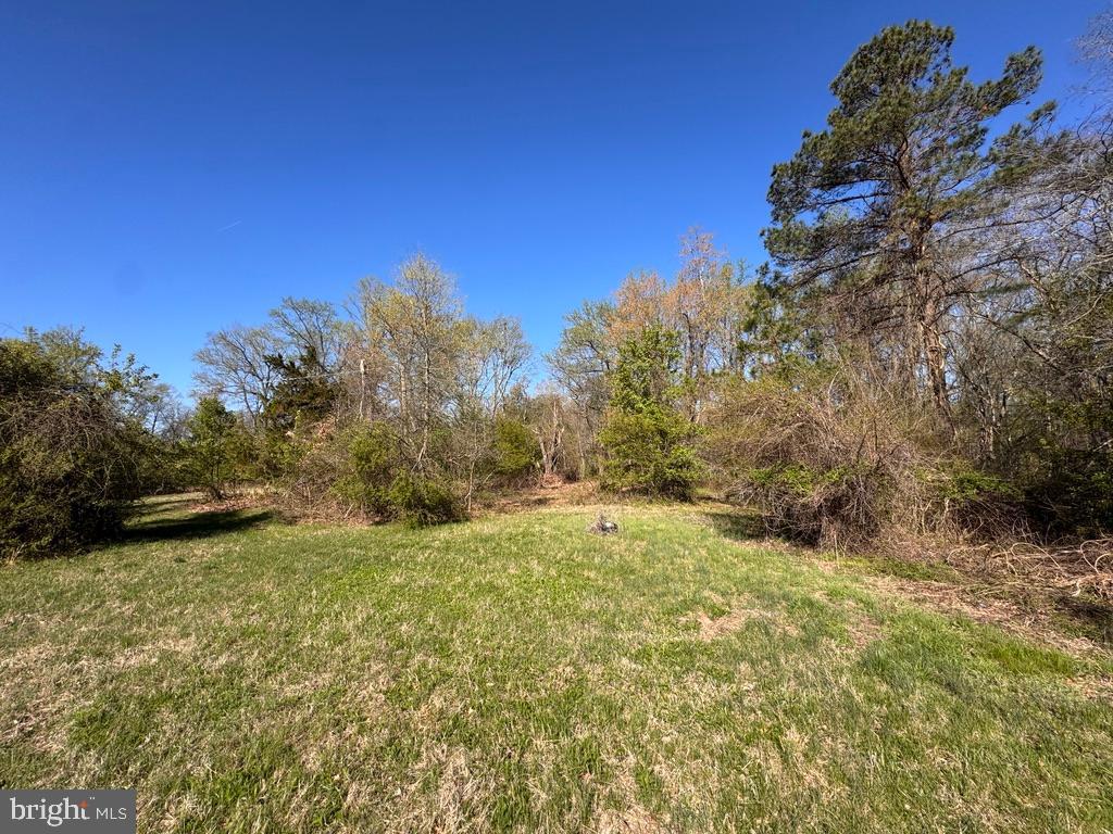 27202 Sandtown Road Goldsboro, MD 21636 - Photo 4 of 18