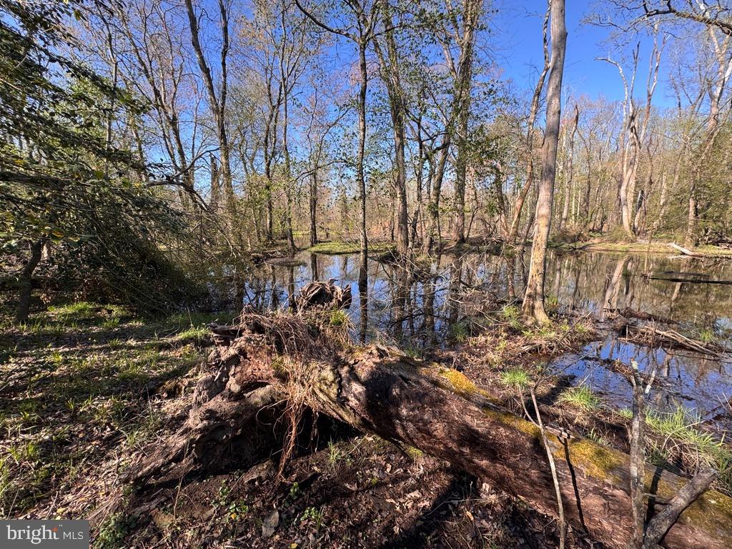 27202 Sandtown Road Goldsboro, MD 21636 - Photo 6 of 18