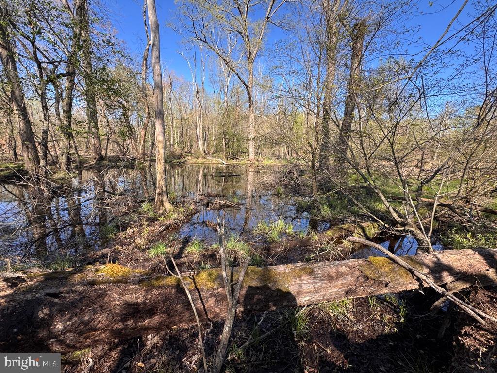 27202 Sandtown Road Goldsboro, MD 21636 - Photo 7 of 18