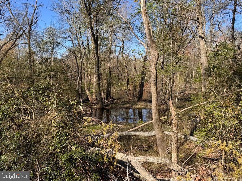 27202 Sandtown Road Goldsboro, MD 21636 - Photo 8 of 18