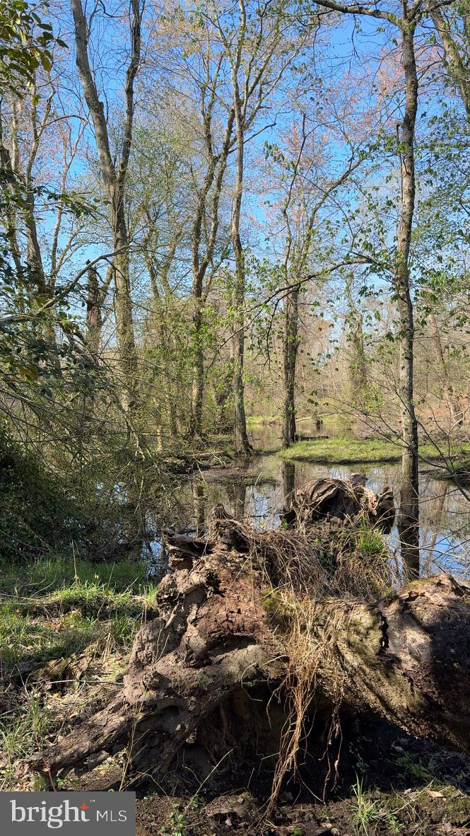 27202 Sandtown Road Goldsboro, MD 21636 - Photo 9 of 18