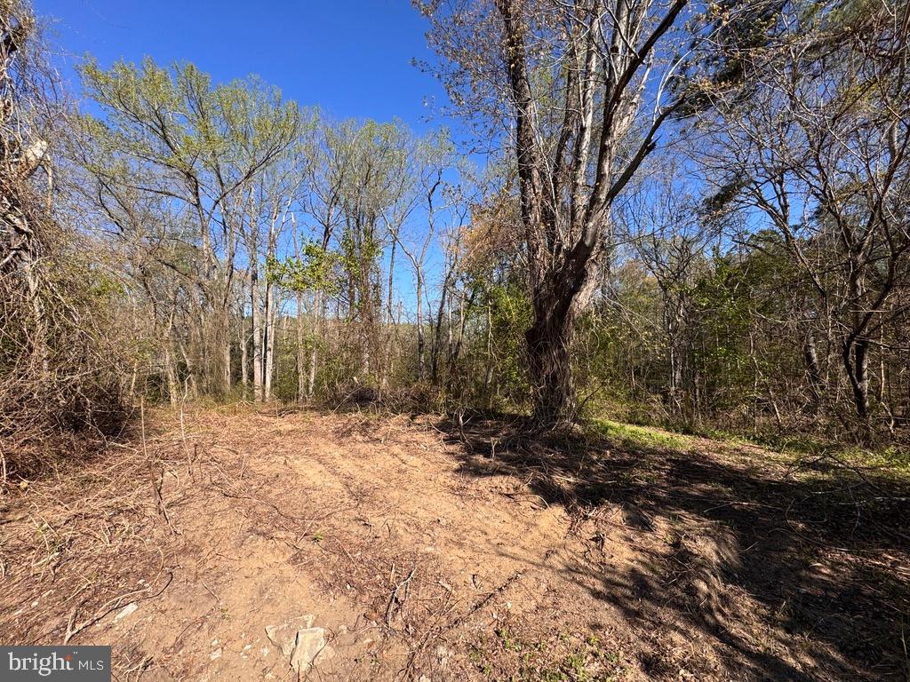27202 Sandtown Road Goldsboro, MD 21636 - Photo 10 of 18