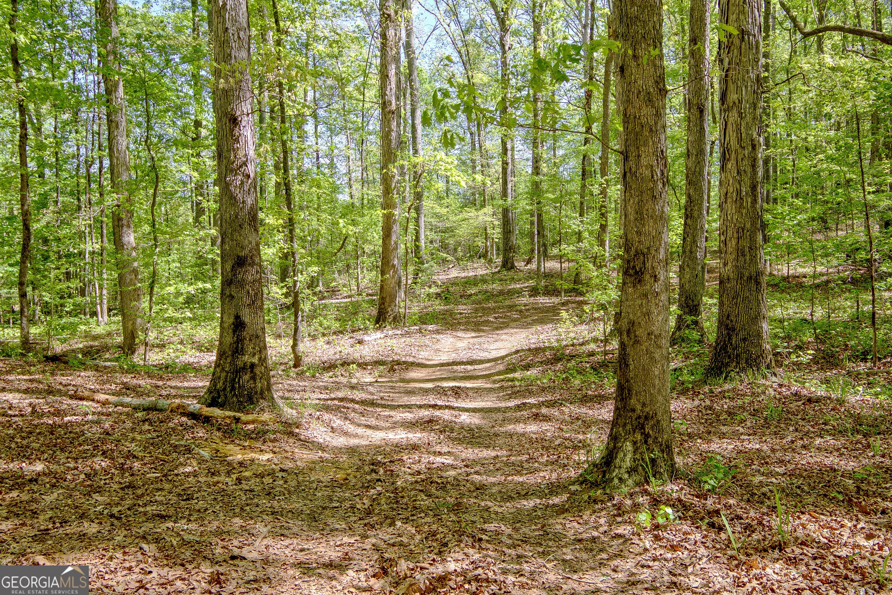 404 Tranquil Cemetary Road Senoia, GA 30276 - Photo 64 of 66