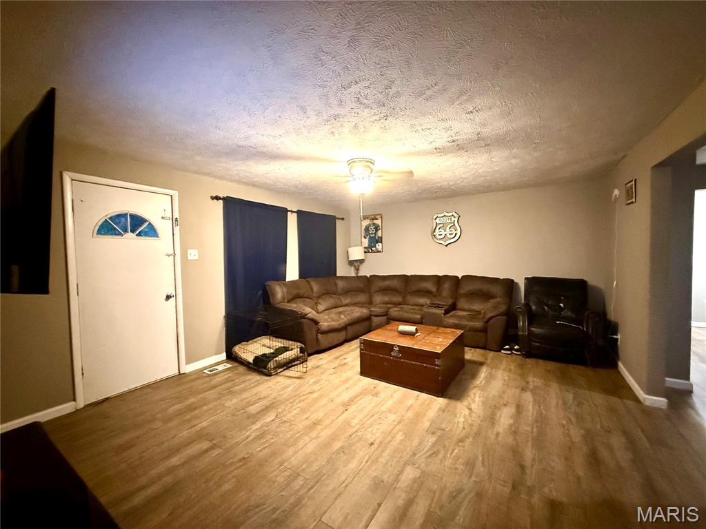 1702 South Maple Street Salem, MO 65560 - Photo 2 of 13