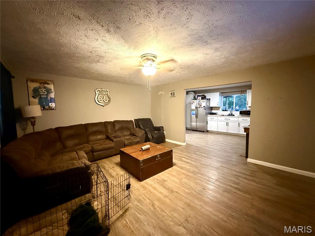 1702 South Maple Street Salem, MO 65560 - Photo 3 of 13