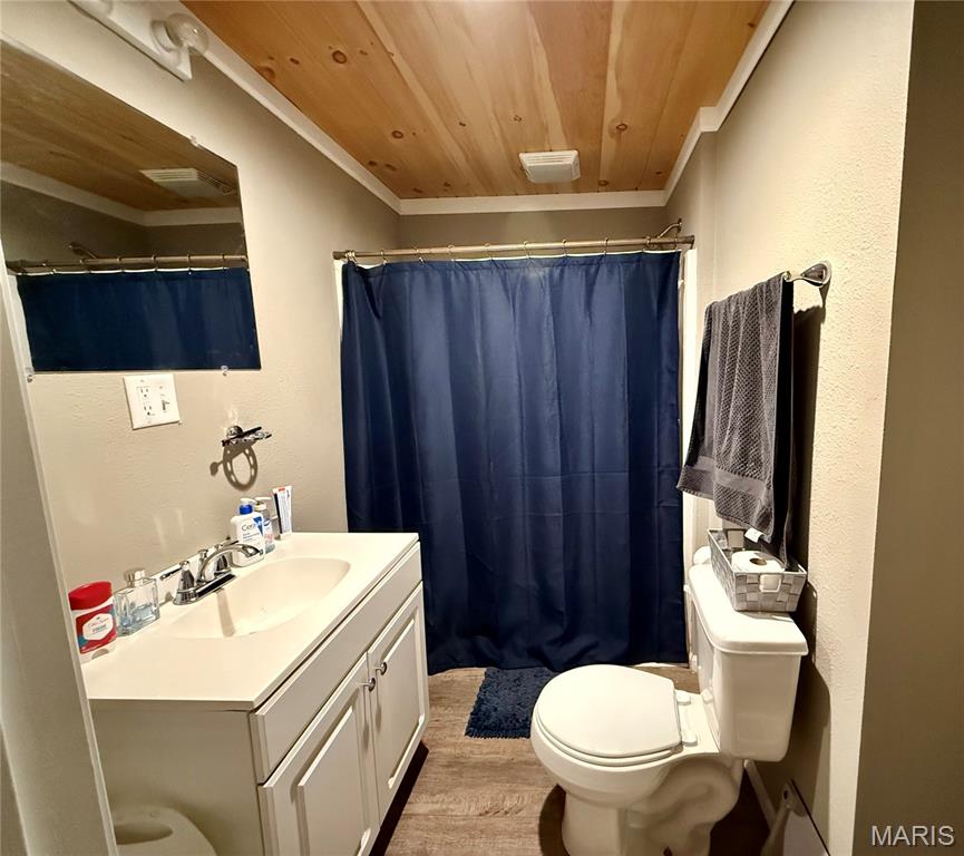 1702 South Maple Street Salem, MO 65560 - Photo 8 of 13