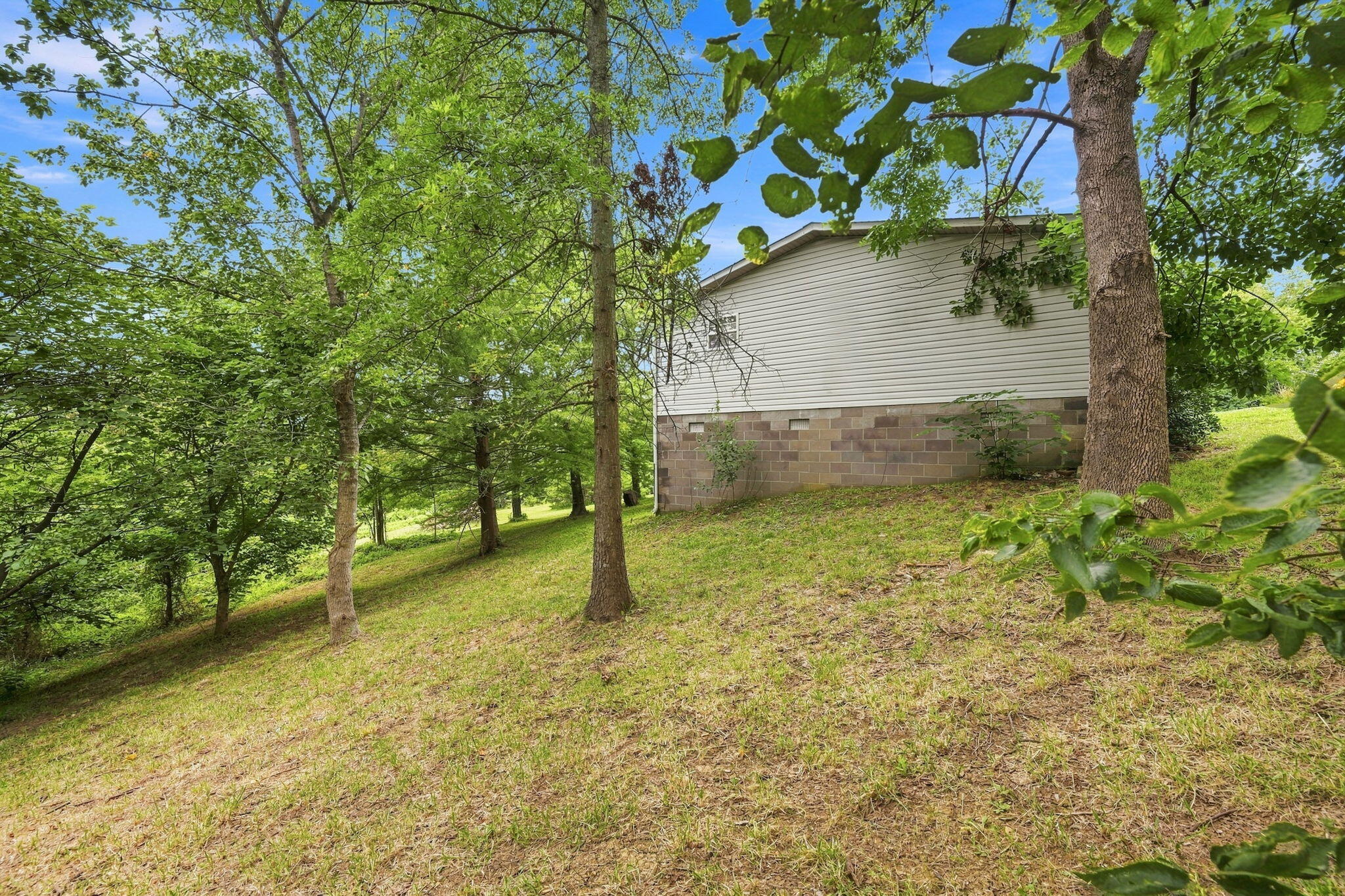 4530 Taft Highway Dry Ridge, KY 41035 - Photo 35 of 42 Side view