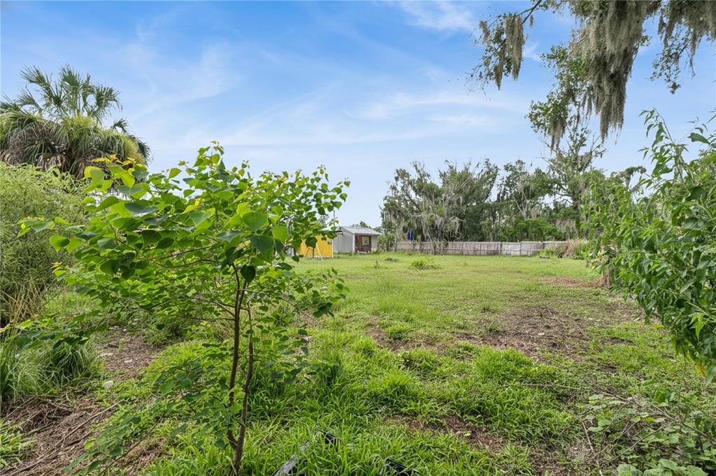 825 Cook Road Mulberry, FL 33860 - Photo 25 of 25