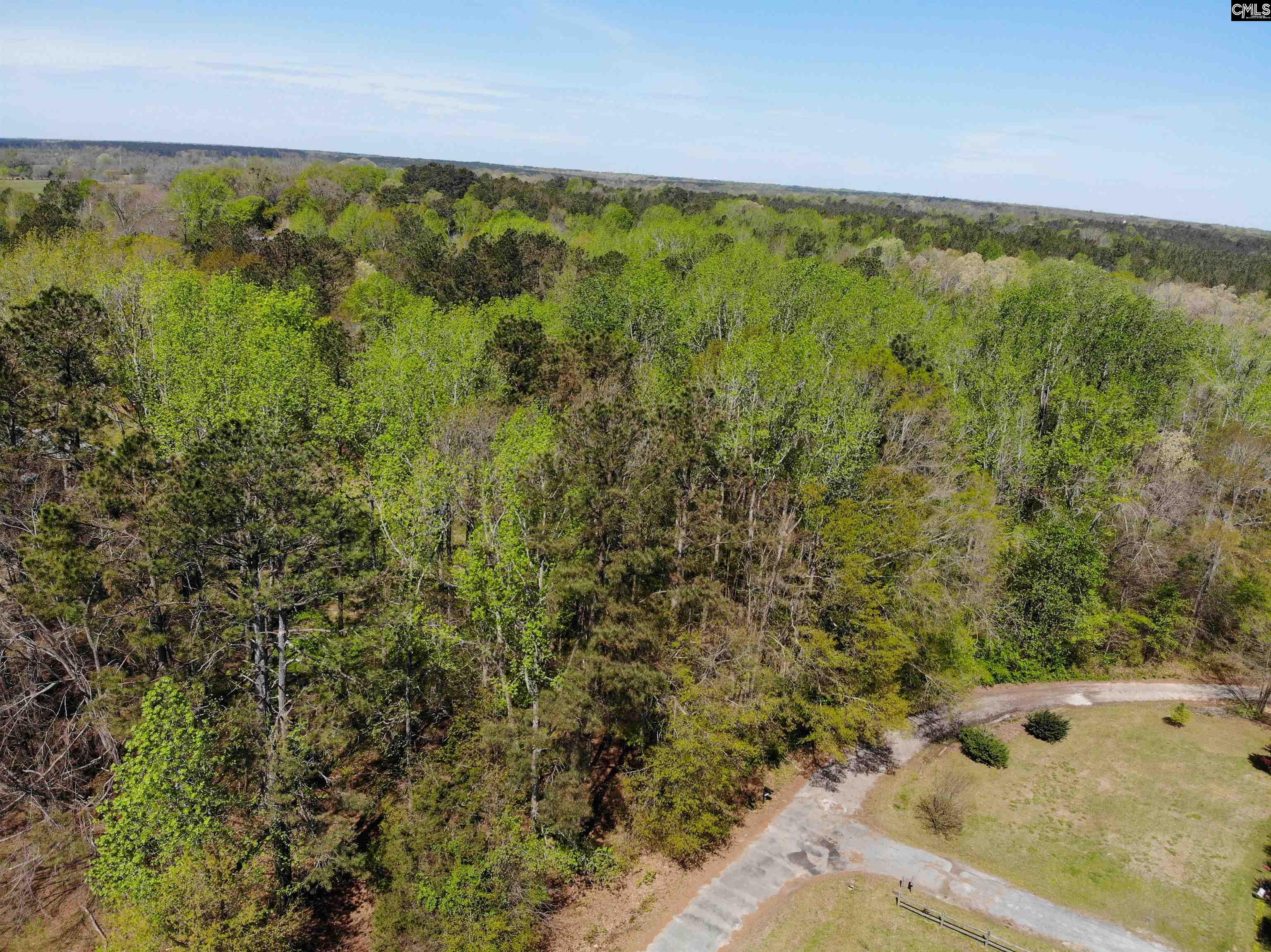 Tbd James Road Joanna, SC 29351 - Photo 28 of 82