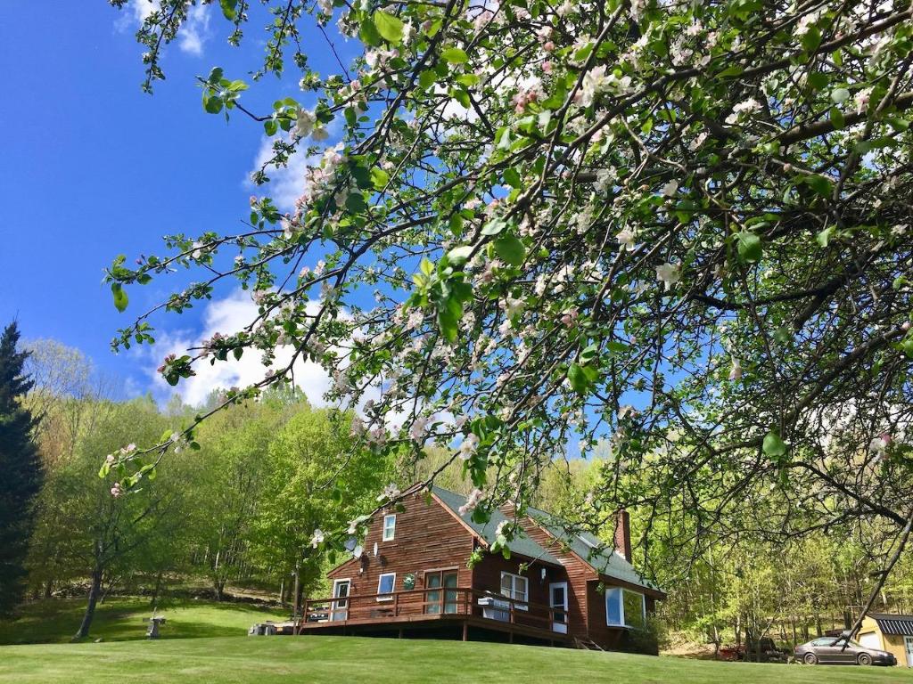 228 Staab Road Roxbury, NY 12474 - Photo 30 of 45