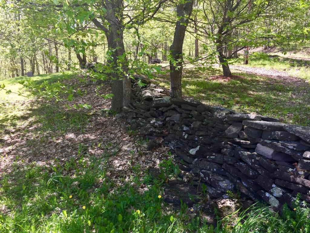 228 Staab Road Roxbury, NY 12474 - Photo 35 of 45