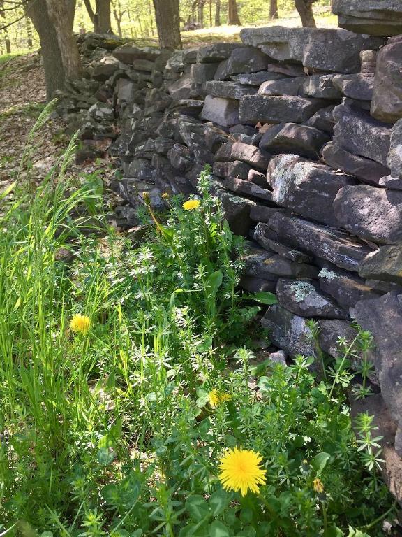 228 Staab Road Roxbury, NY 12474 - Photo 36 of 45