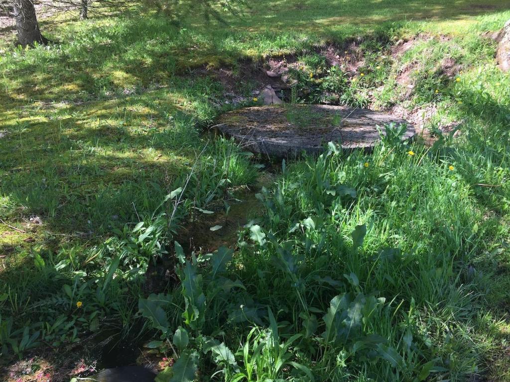 228 Staab Road Roxbury, NY 12474 - Photo 37 of 45