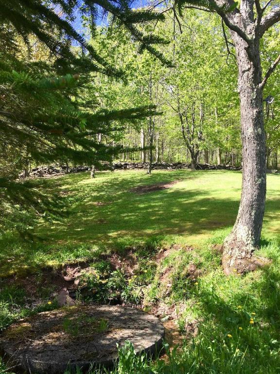 228 Staab Road Roxbury, NY 12474 - Photo 38 of 45