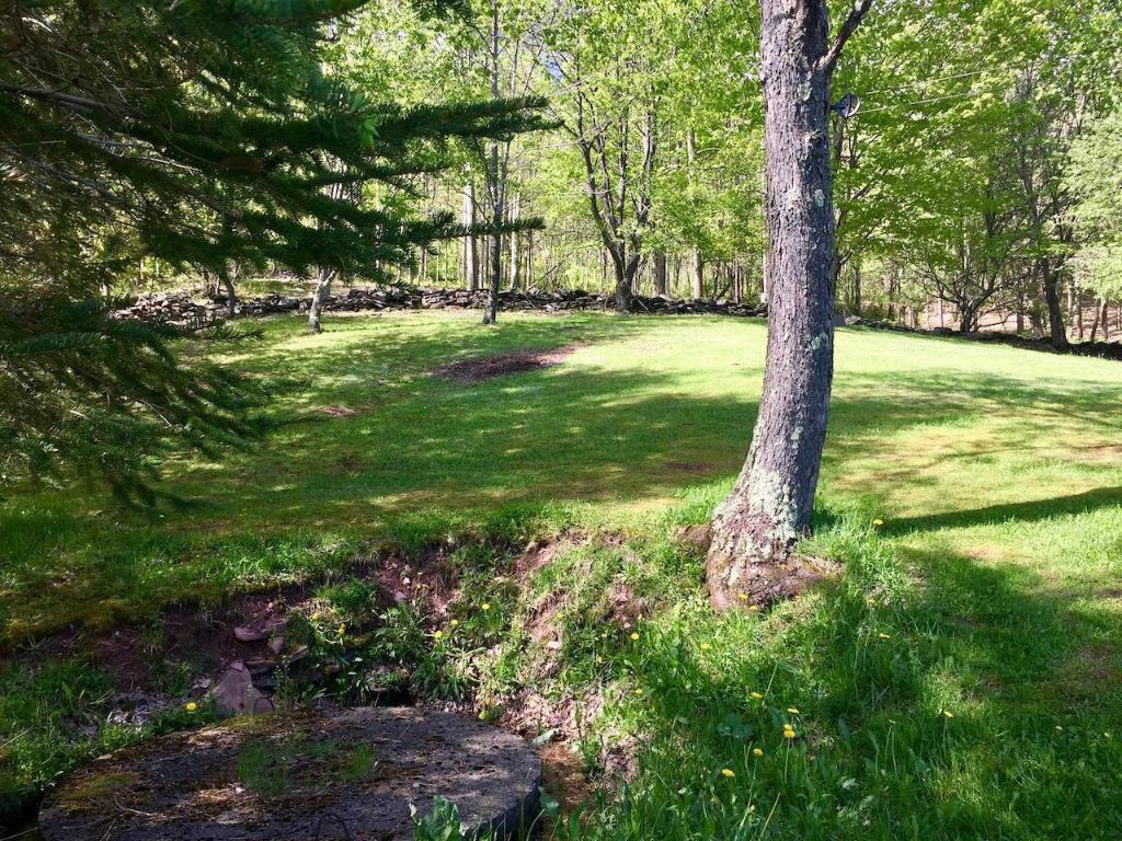 228 Staab Road Roxbury, NY 12474 - Photo 39 of 45