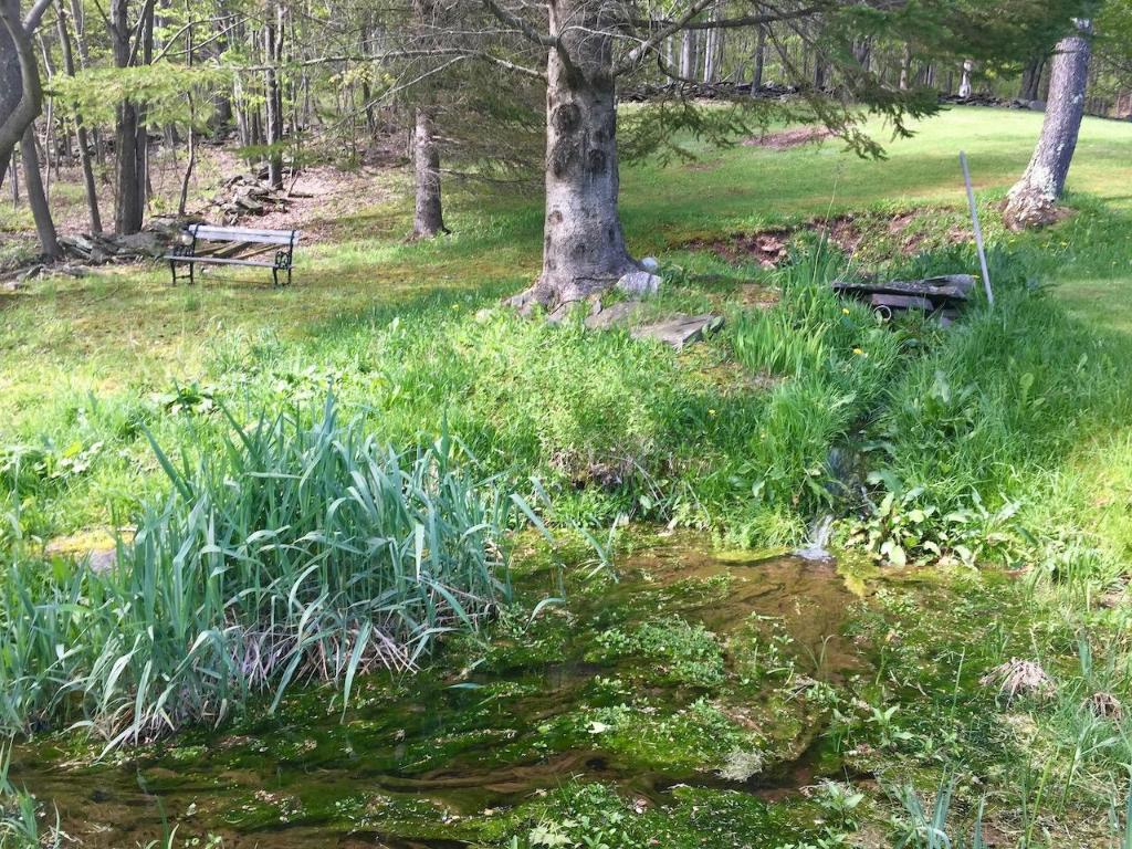 228 Staab Road Roxbury, NY 12474 - Photo 42 of 45