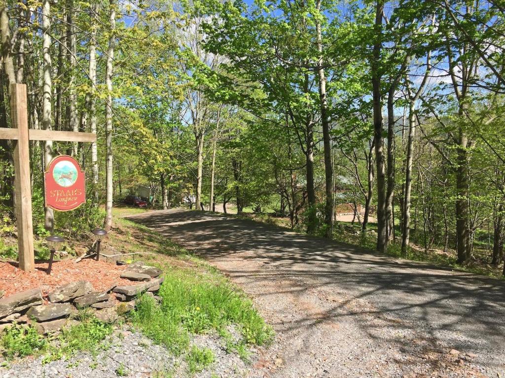 228 Staab Road Roxbury, NY 12474 - Photo 43 of 45