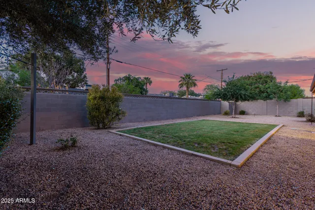a view of a backyard
