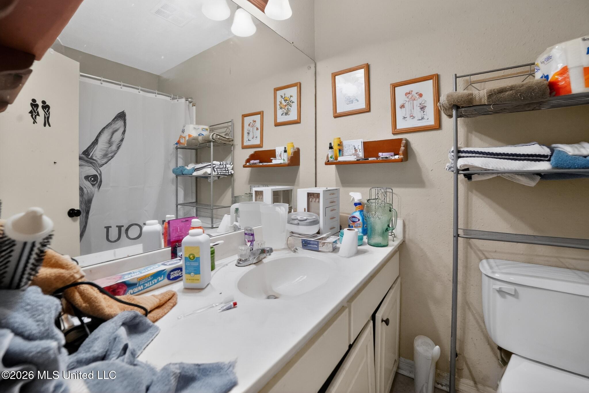 318 Longmeadow Court Ridgeland, MS 39157 - Photo 21 of 22 21_318_Longmeadow_Dr-Bathroom-8224