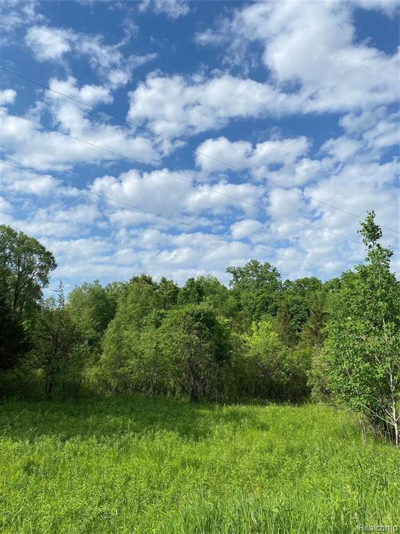 0 Kaiser Road Gregory, MI 48137 - Photo 7 of 29