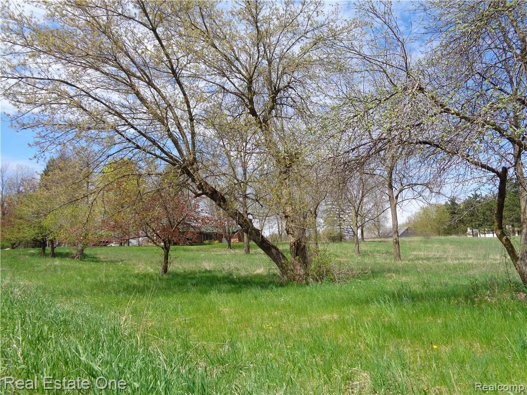 5644 Metamora Road Metamora, MI 48455 - Photo 36 of 39 Little House on the Prairie!! View of YOUR home in the distance from corner of lot near Parkwood and Metamora Rds.