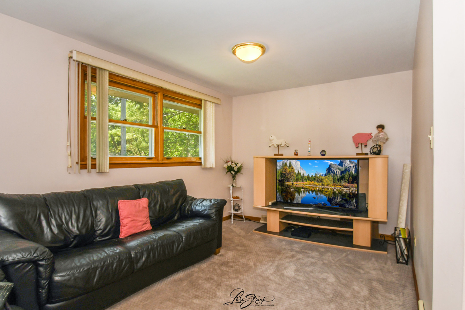 3409 173rd Place Lansing, IL 60438 - Photo 14 of 26 a living room with furniture and a flat screen tv